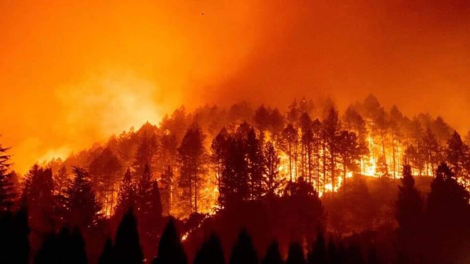 Buscan difundir medidas para prevenir incendios Buscan difundir medidas para prevenir incendios