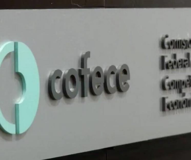 Cofece ve posible monopolio en el mercado de gases