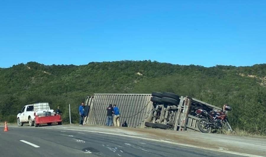 Mueren reses tras volcadura de camión en Montemorelos Mueren reses tras volcadura de camión en Montemorelos