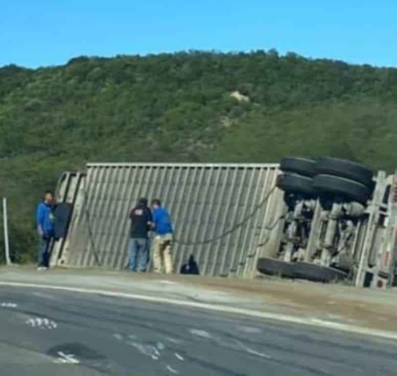 Varios ejemplares de ganado vacuno perdieron la vida, al volcarse el remolque en que eran transportados