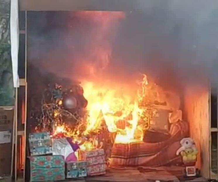 Emite PC recomendaciones para evitar incendios con pinos Emite PC recomendaciones para evitar incendios con pinos