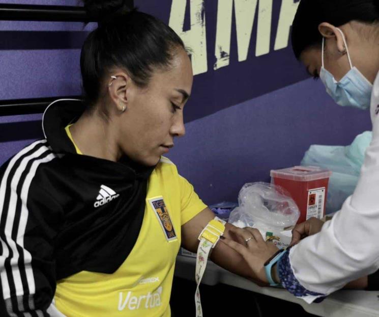 Se someten felinas a los exámenes médicos