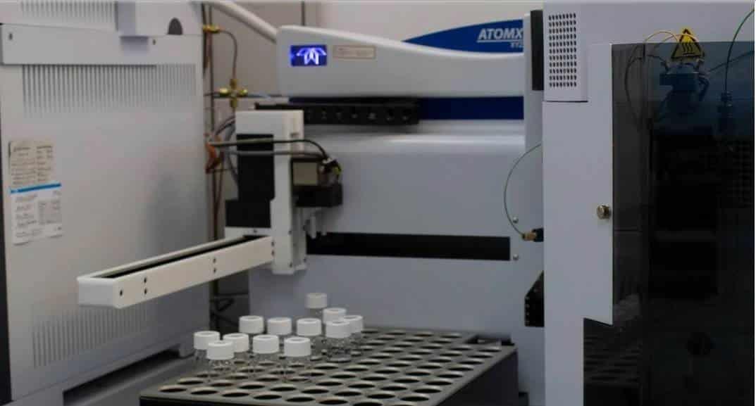 Descartan presencia de hongos en medicamentos Descartan presencia de hongos en medicamentos