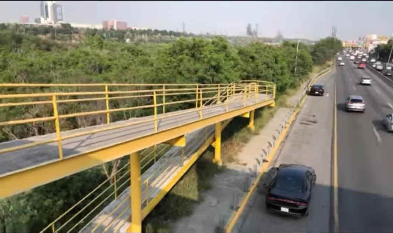 Hallaron el cuerpo sin vida de una mujer, en medio de unos matorrales