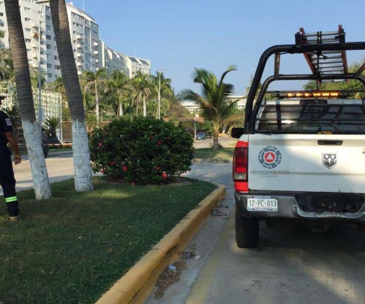 Sin daños mayores en Guerrero tras sismo: Evelyn Salgado