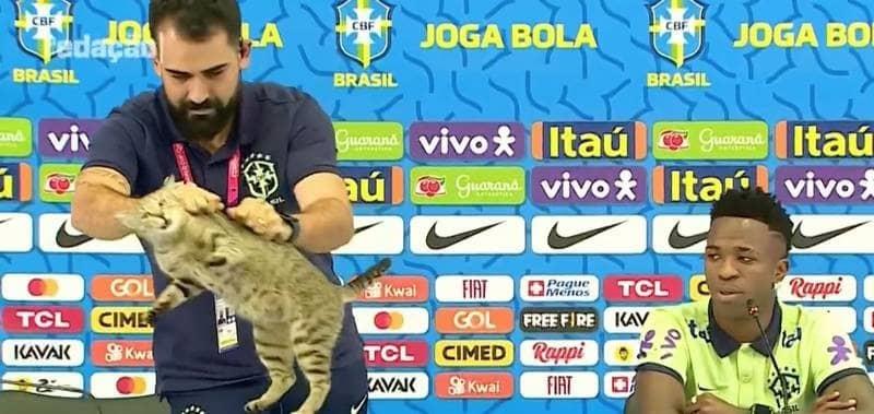 La selección de Brasil será multada por maltrato animal