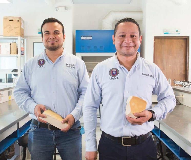 Mejoran proceso para  extraer cera de candelilla