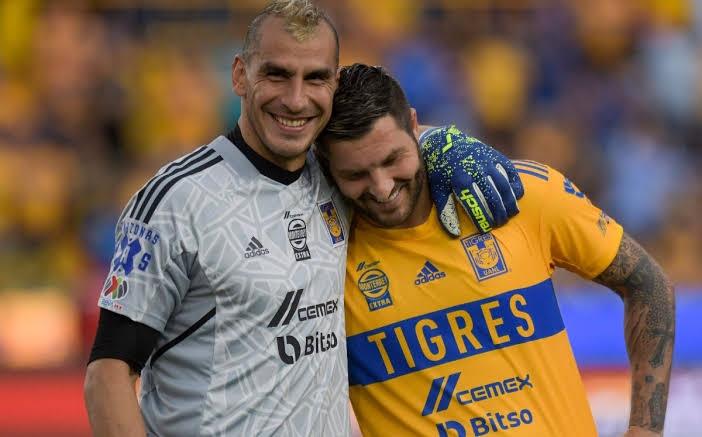 En Tigres hay dudas sobre elegir equipo para Final En Tigres hay dudas sobre elegir equipo para Final