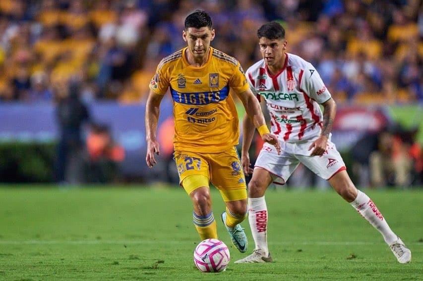 Quiere Angulo de Tigres reducción de extranjeros Quiere Angulo de Tigres reducción de extranjeros