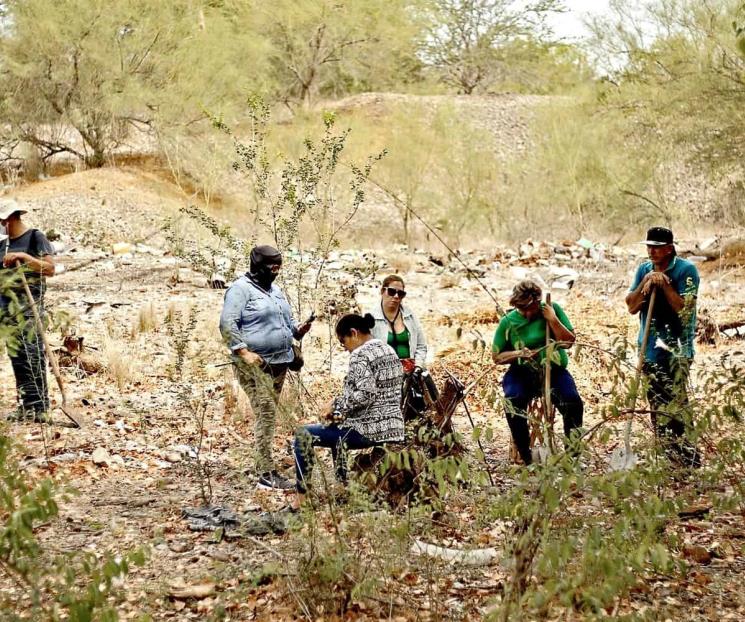 Desaparición, ligada a la impunidad Desaparición, ligada a la impunidad