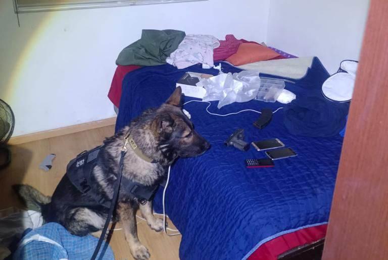 Hallan droga, armas y balas en casa