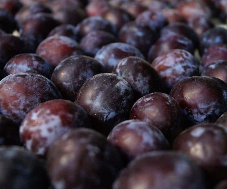 Alimentos saludables para los riñones Alimentos saludables para los riñones