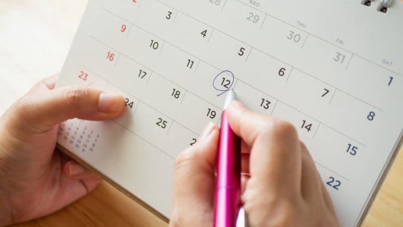 Calendario 2023: estos son los días feriados