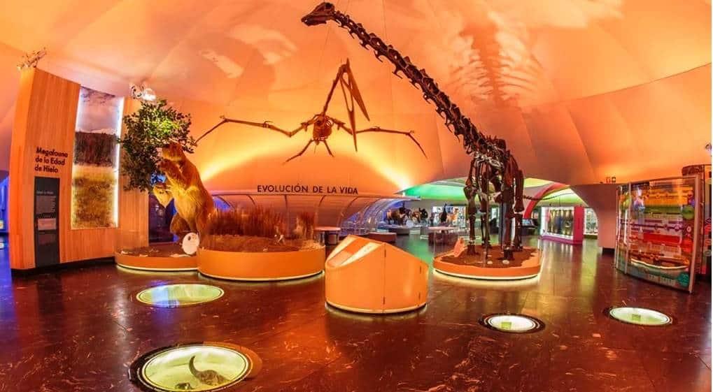 Anuncian los días que no abrirá el Museo de Historia Natural Anuncian los días que no abrirá el Museo de Historia Natural