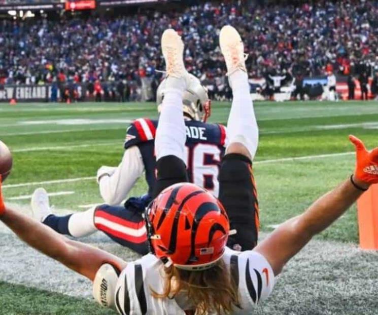 Bengals vencen a Pats Bengals vencen a Pats