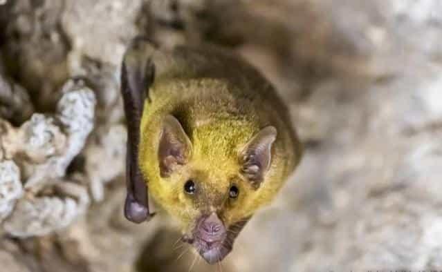 Por tormenta invernal en EU