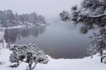 Frente fr&iacute;o 20 provocar&aacute; heladas y ca&iacute;da de nieve