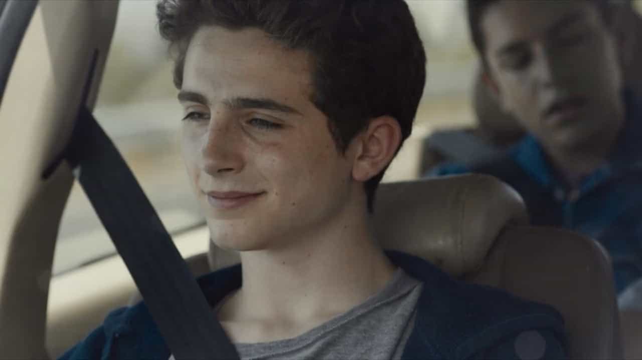 Tras una breve aparición en Interestelar, Tmothée tuvo su primer papel importante con Miss Stevens (2016) en la que interpretó a Billy