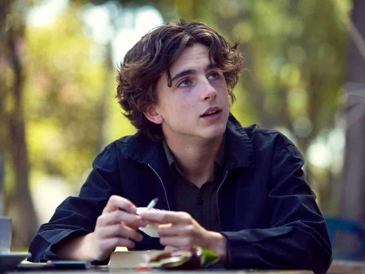 En ese mismo año, Chalamet fue Kyle en la cinta Lady Bird de Greta Gerwig
