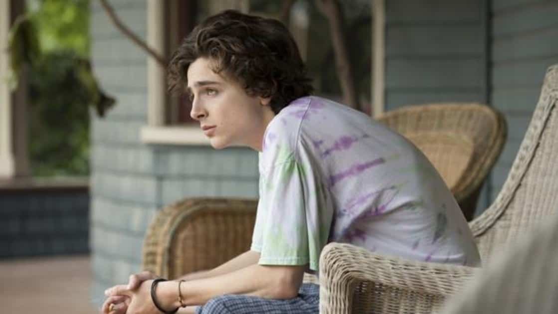 Ya en el 2019, Timothée fue Nic Sheff en Beautiful Boy, cinta basada en una historia real en la que apareció junto a Steve Carell