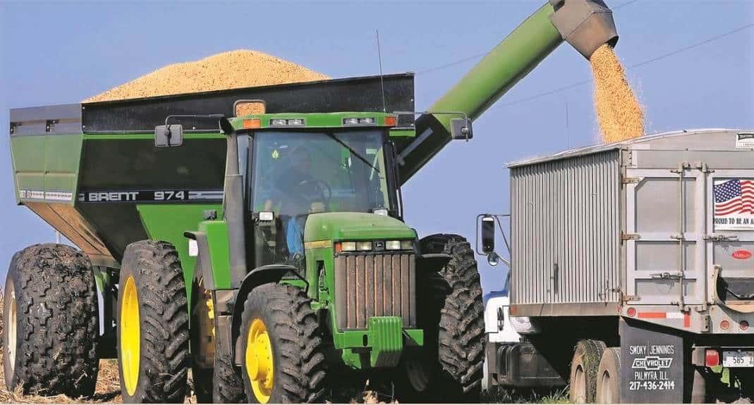 Maíz transgénico no es dañino para consumo humano