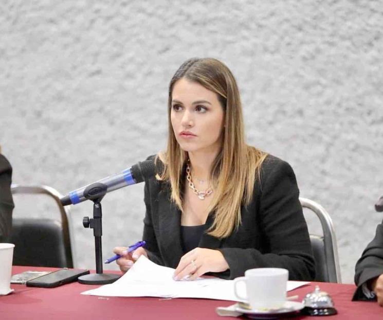 Será delito difundir ilegalmente datos de feminicidios Será delito difundir ilegalmente datos de feminicidios