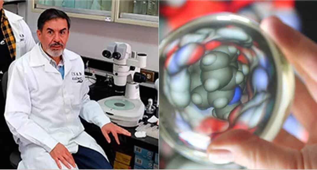 Descubren en la UNAM molécula que combatiría a la obesidad Descubren en la UNAM molécula que combatiría a la obesidad