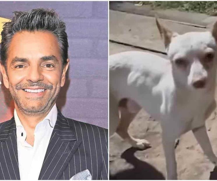 Eugenio Derbez rescata a perro; le piden que se quede con él Eugenio Derbez rescata a perro; le piden que se quede con él