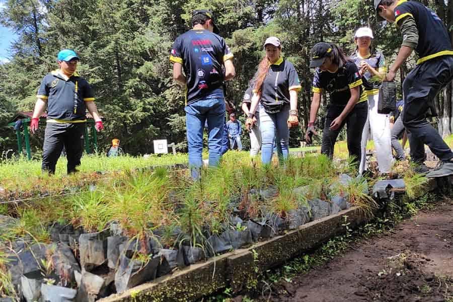 Más allá de robots: equipo de PrepaTec CCM reforesta bosque Más allá de robots: equipo de PrepaTec CCM reforesta bosque