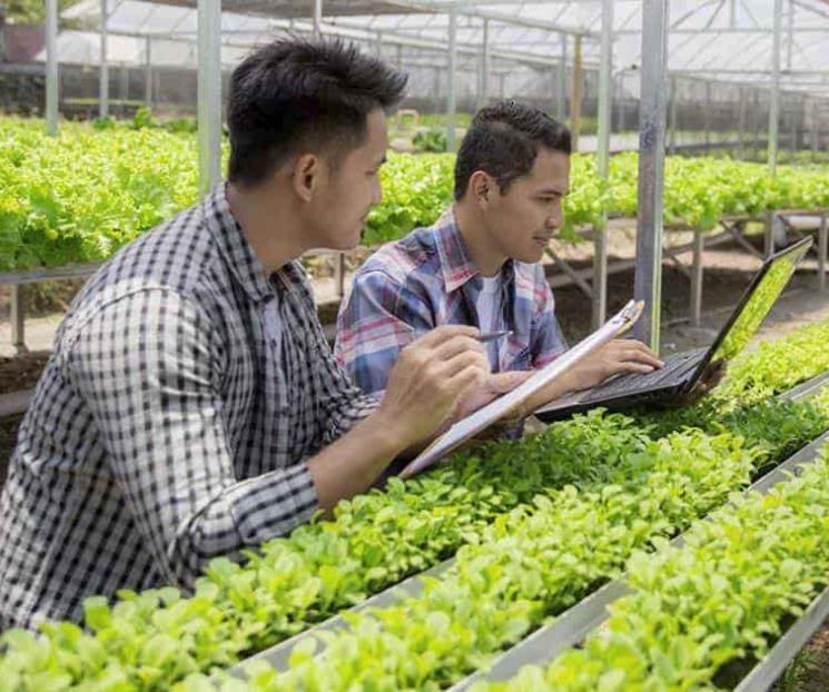 Piden agronegocios disipar disputas comerciales de T-MEC Piden agronegocios disipar disputas comerciales de T-MEC