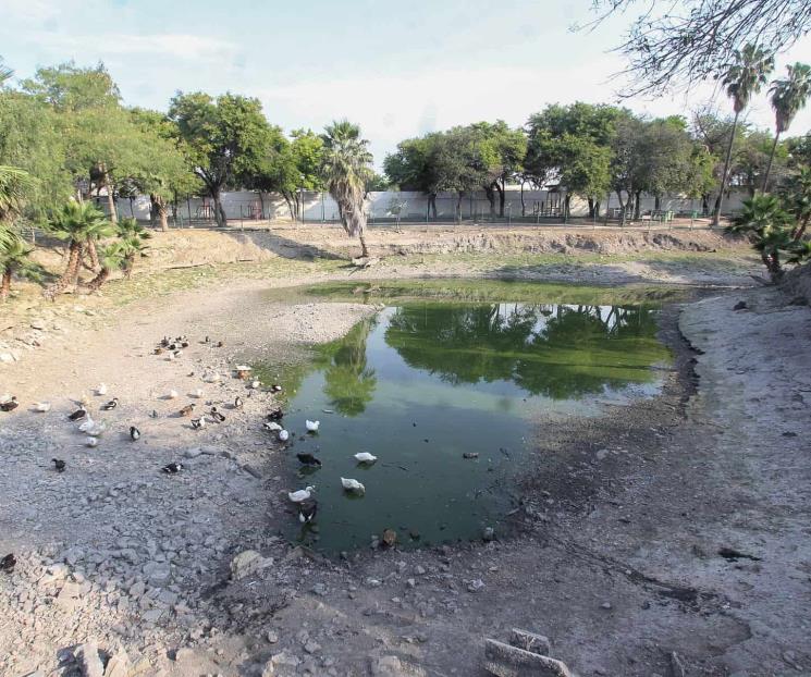 Recuperará Apodaca el ojo de agua del Parque La Peñita Recuperará Apodaca el ojo de agua del Parque La Peñita