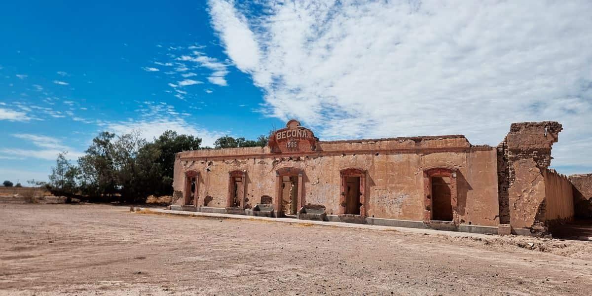 Harán historia al andar Harán historia al andar