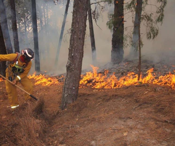 Buscan generar conciencia sobre incendios forestales Buscan generar conciencia sobre incendios forestales