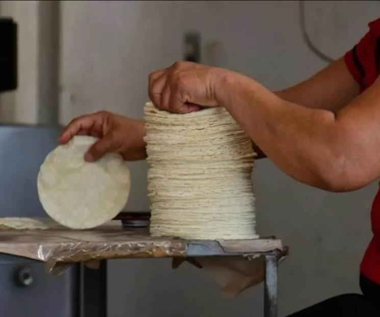 Gobierno aprieta a exportadores de maíz con 50% de impuestos Gobierno aprieta a exportadores de maíz con 50% de impuestos