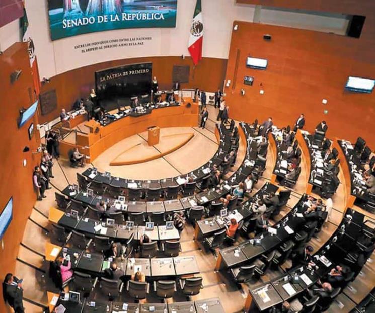 Senado prevé reabrir debate en materia de Cannabis Senado prevé reabrir debate en materia de Cannabis