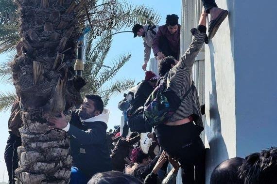 Estampida en Irak, saldo de un muerto Estampida en Irak, saldo de un muerto