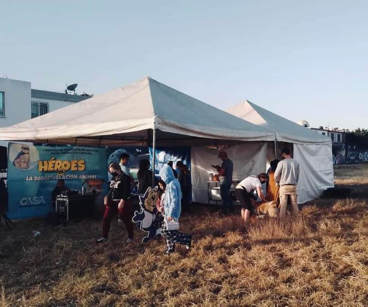 Tiene SN brigada para mascotas Tiene SN brigada para mascotas
