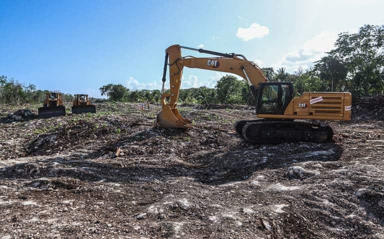 Ordenan parar tala en Tramo 5 de Tren Maya Ordenan parar tala en Tramo 5 de Tren Maya
