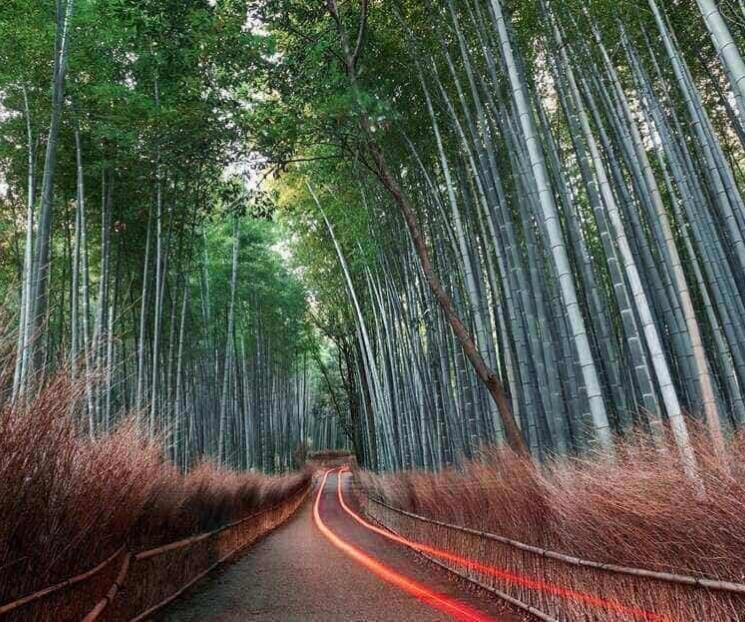 Lenovo se compromete a lograr cero emisiones netas para 2050 Lenovo se compromete a lograr cero emisiones netas para 2050