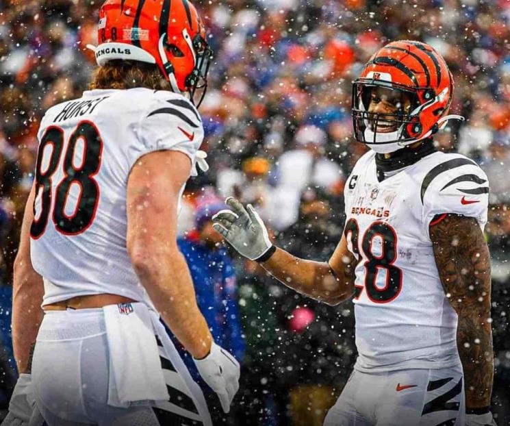 Bengalíes eliminó a Bills Bengalíes eliminó a Bills