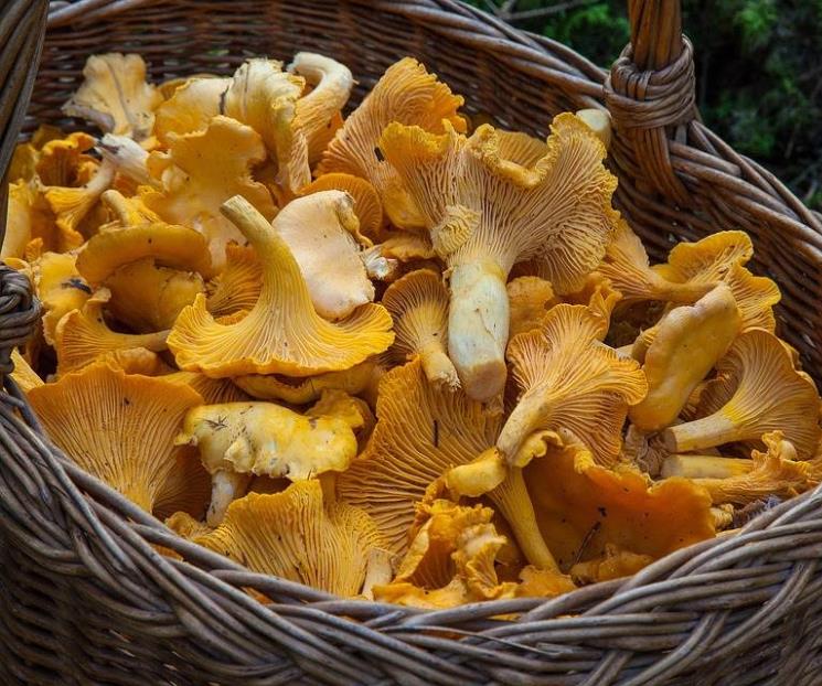 Setas al pastor, una receta saludable y vegana Setas al pastor, una receta saludable y vegana