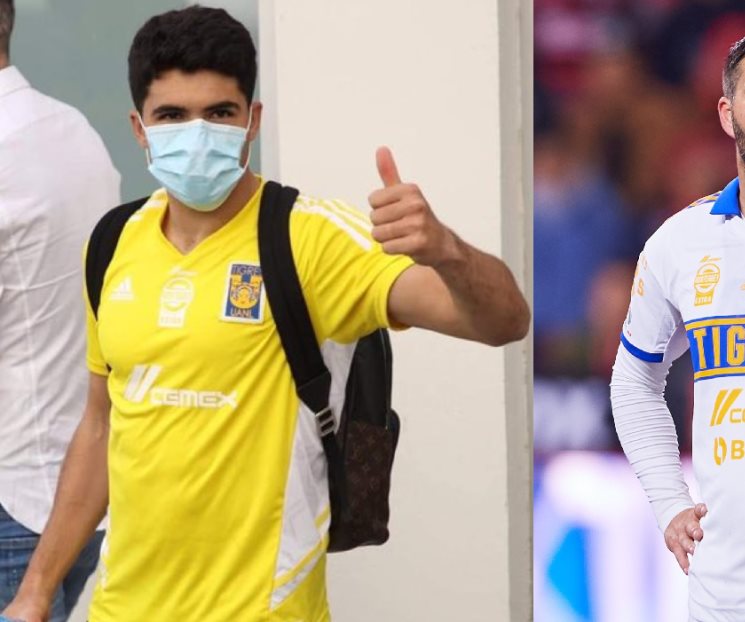 Inversión en Tigres fue casi toda bien justificada Inversión en Tigres fue casi toda bien justificada