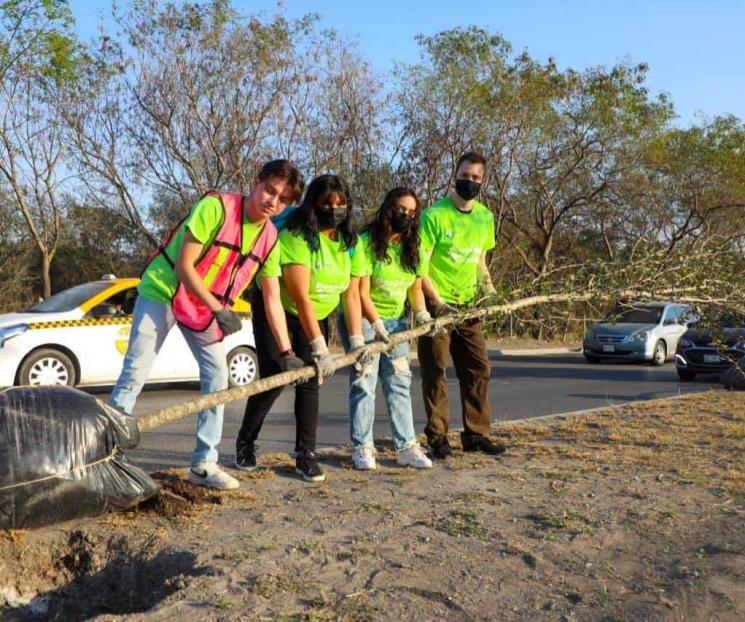 Dan “respiro” a transitadas avenidas Dan “respiro” a transitadas avenidas