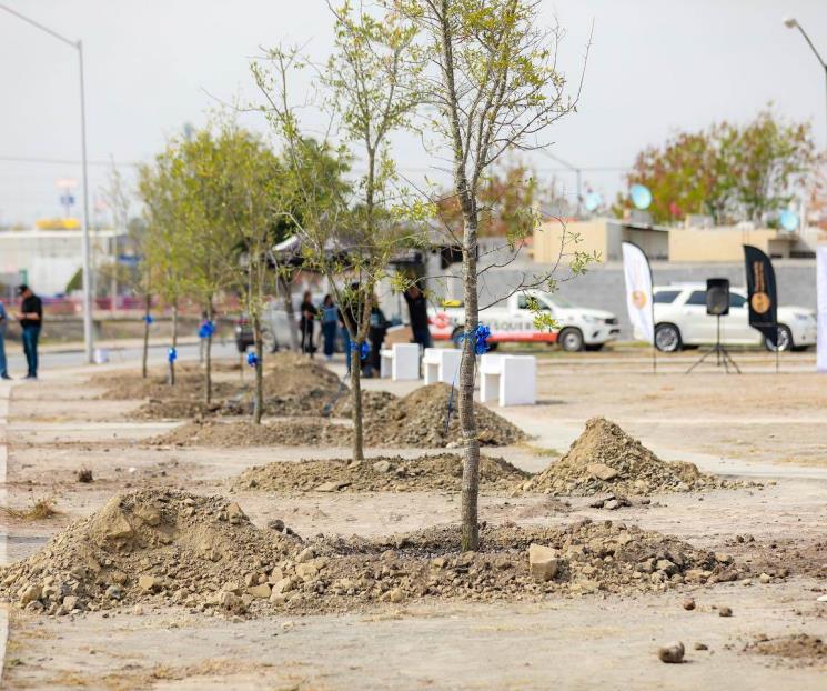 Va Pesquería por 10 mil árboles más Va Pesquería por 10 mil árboles más