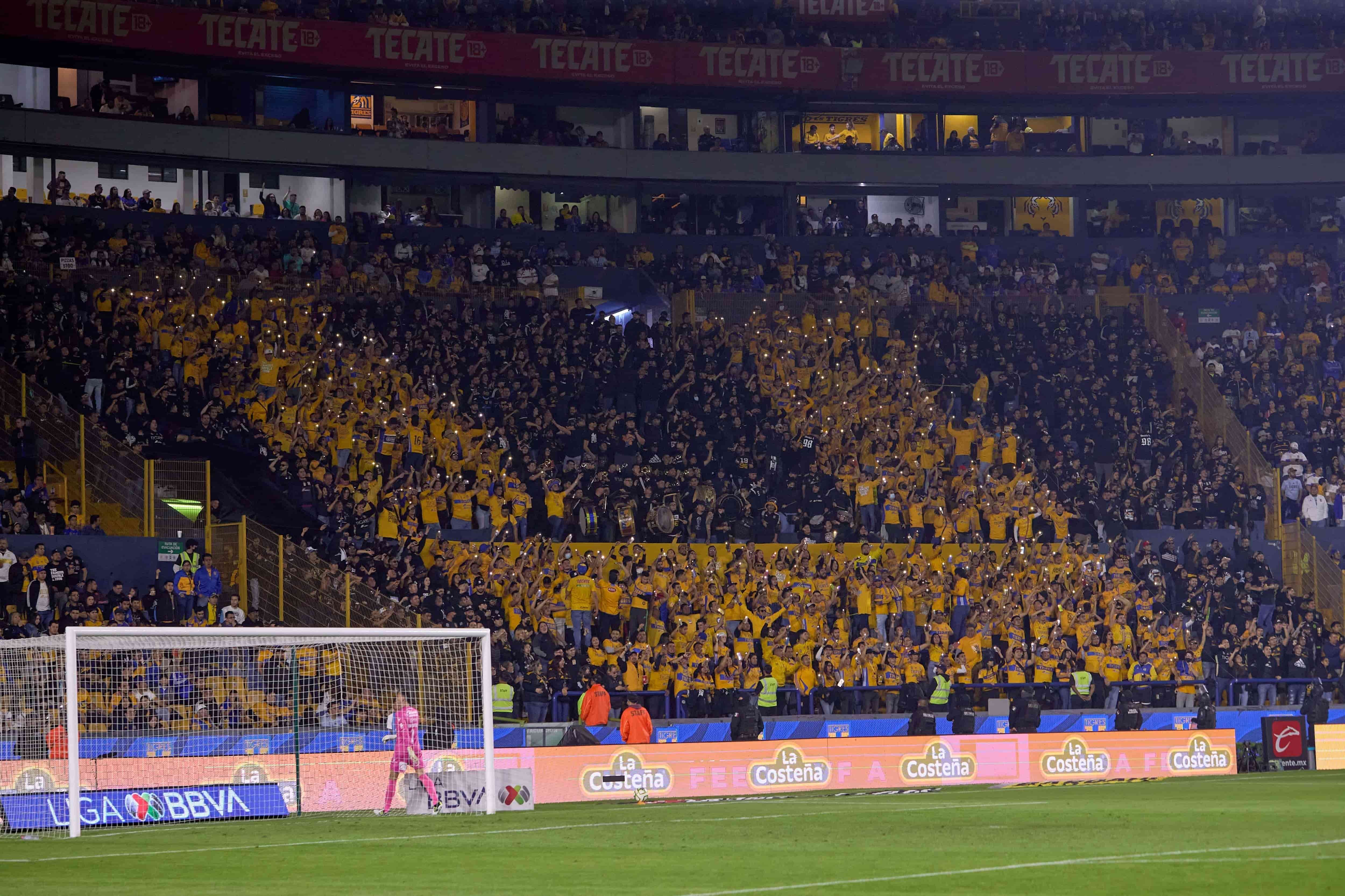 Mosaico Libres y Lokos.