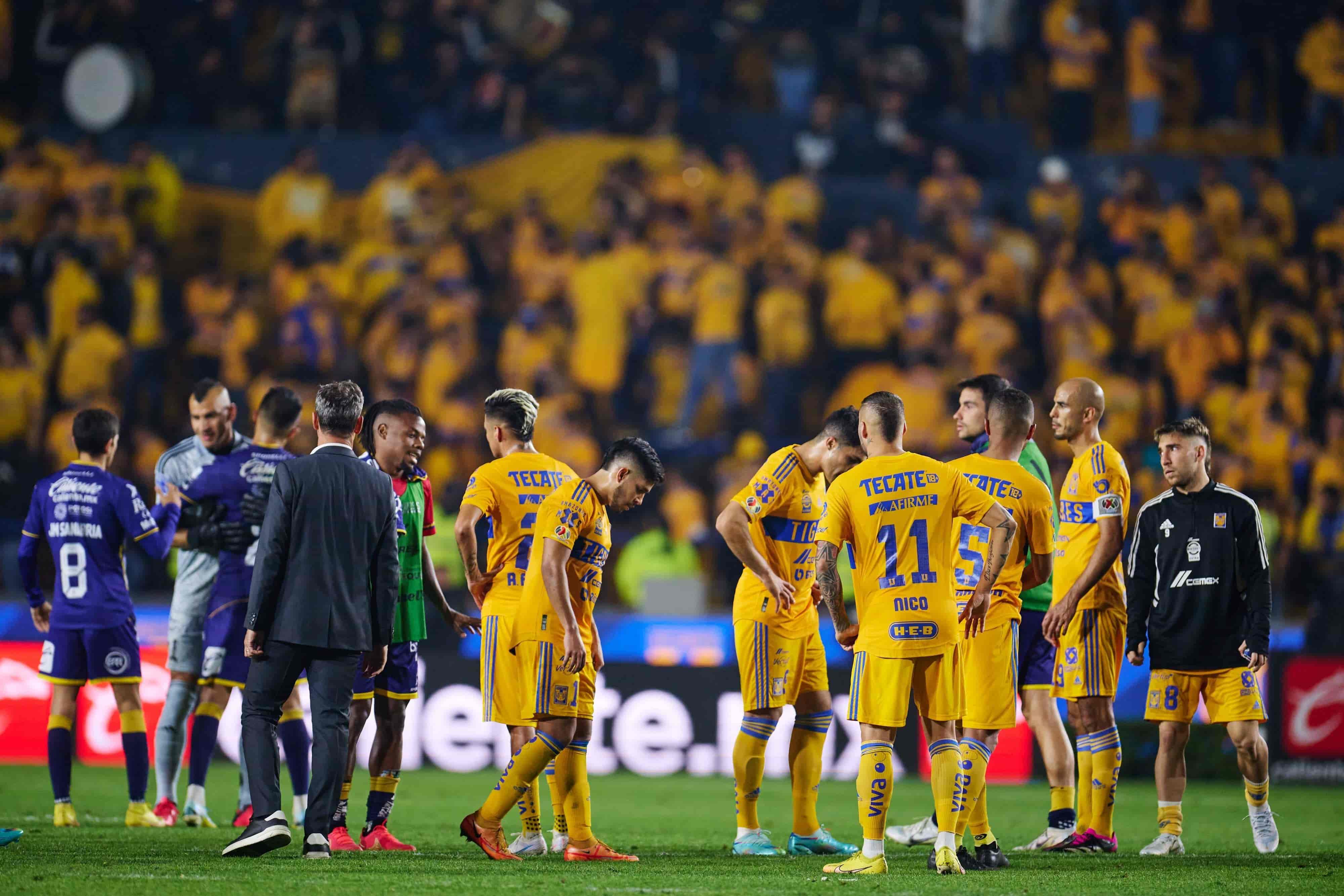 Reparten unidades felinos y potosinos.