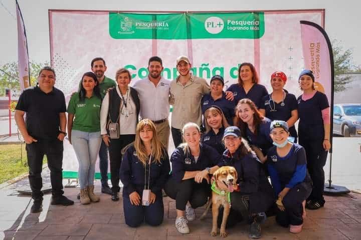 Arrecian en Pesquería programa de esterilización de animales Arrecian en Pesquería programa de esterilización de animales