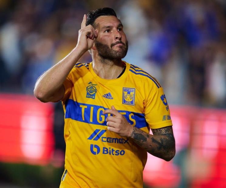 Valoran fuera de Tigres el proceso de los felinos