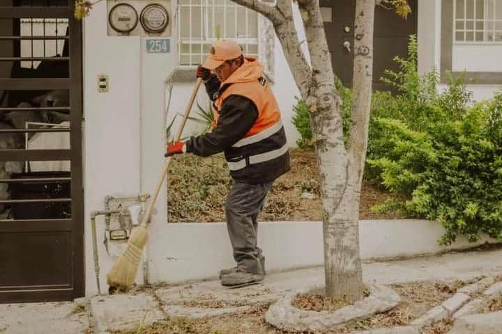 Amplían programa “Santa Reverdece” Amplían programa “Santa Reverdece”