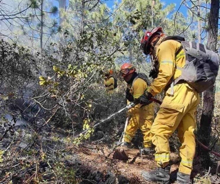 Controlan incendio forestal en Galeana